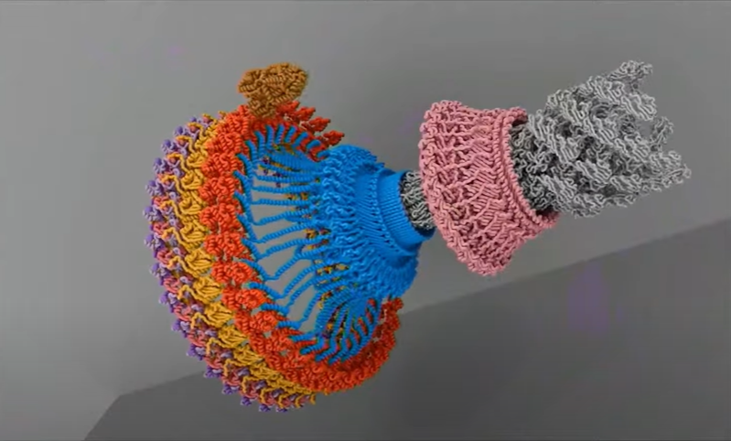 bio engenharia • 4m Comunicação • SEO, Performance e Wordpress Bioengenharia e metamateriais